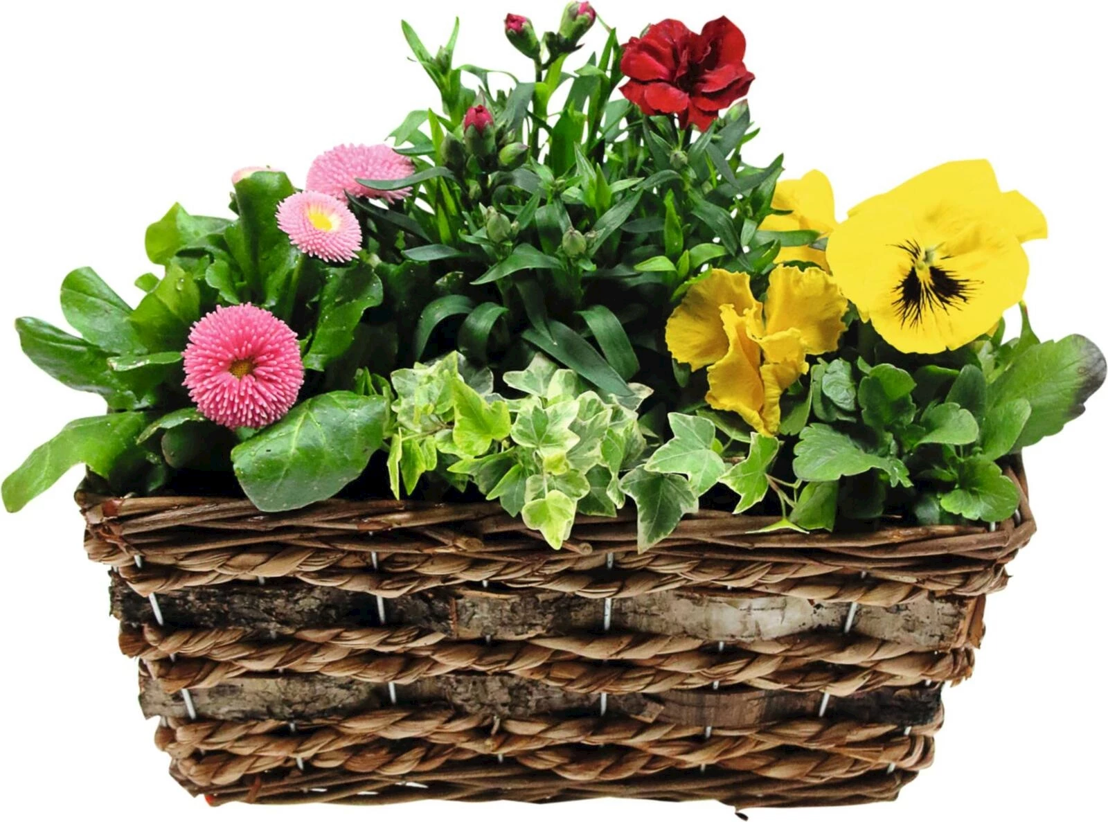 Korbkiste Frühlingsblumen P30x17.5 cm