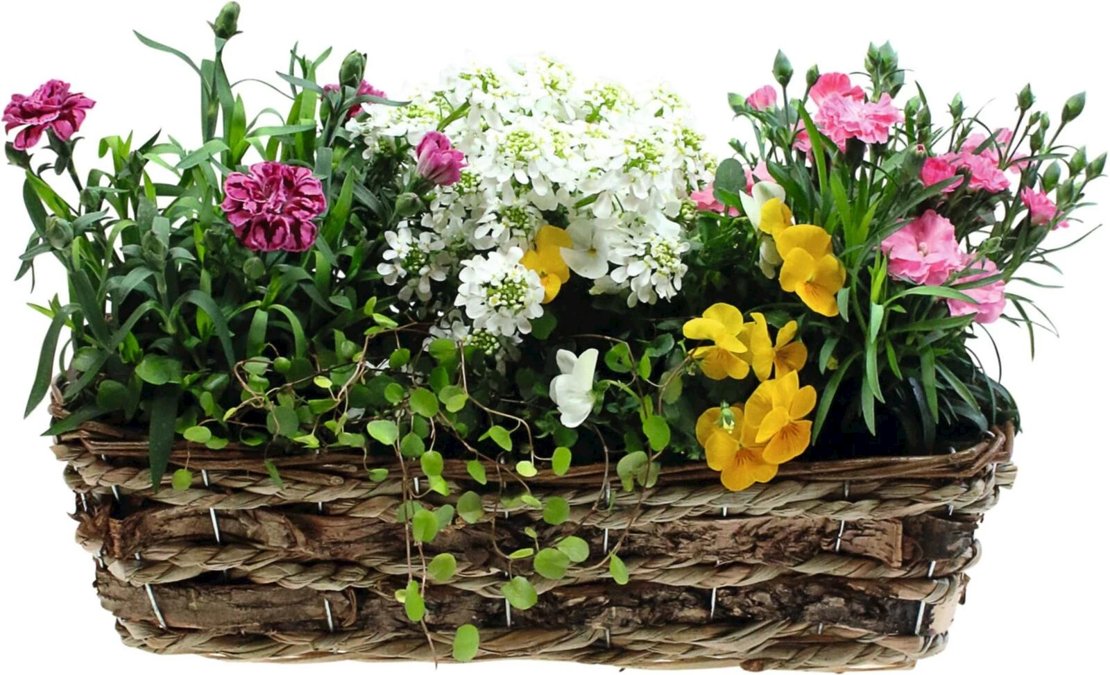 Korbkiste Frühlingsblumen P40x18 cm