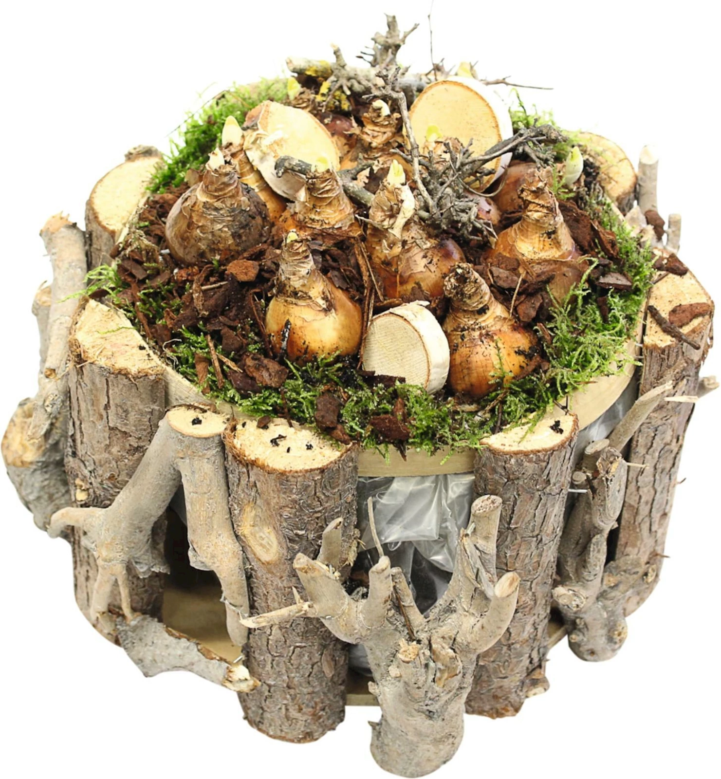 Holztopf bepflanzt P28 cm