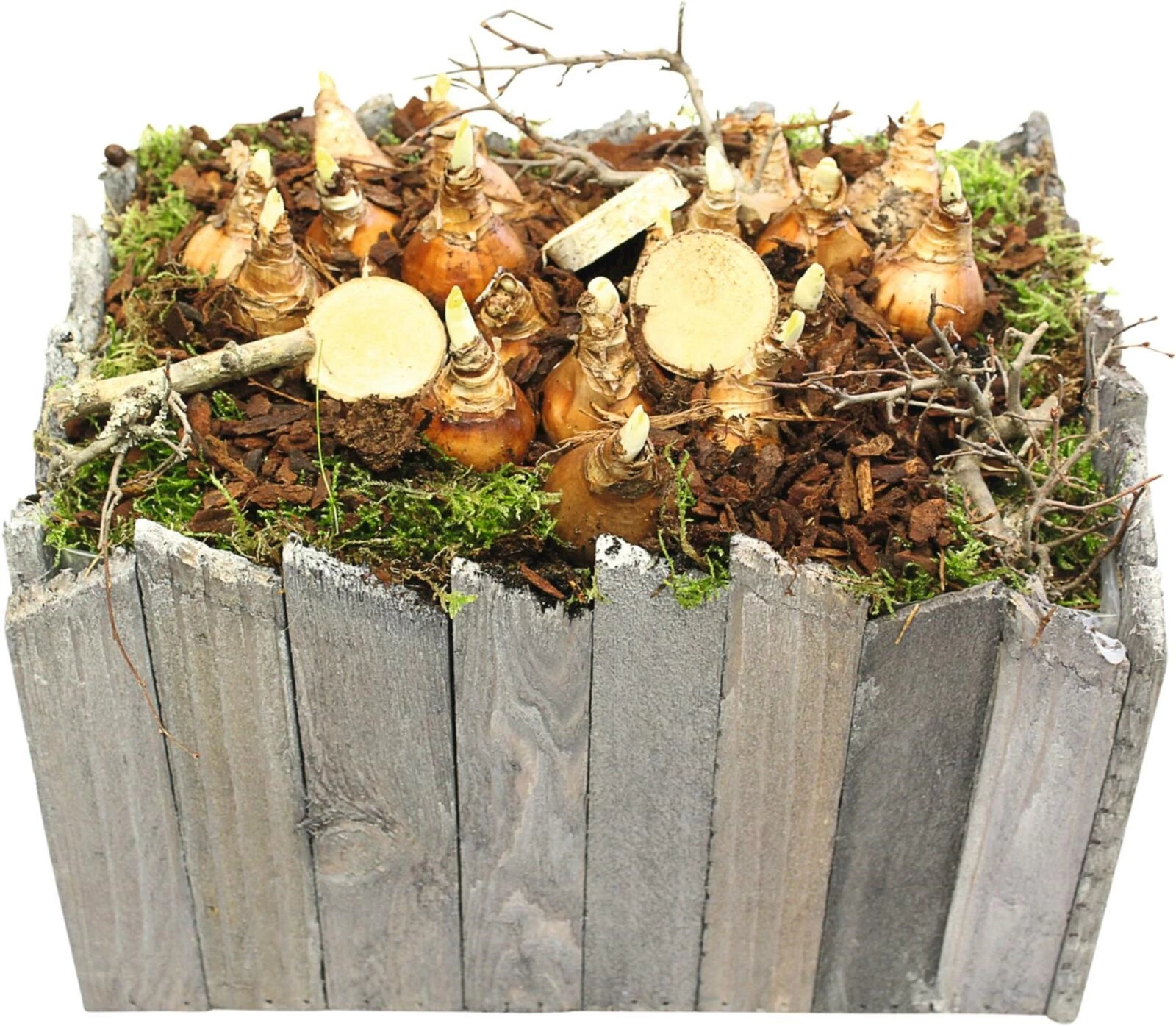 Holztopf bepflanzt P30 cm