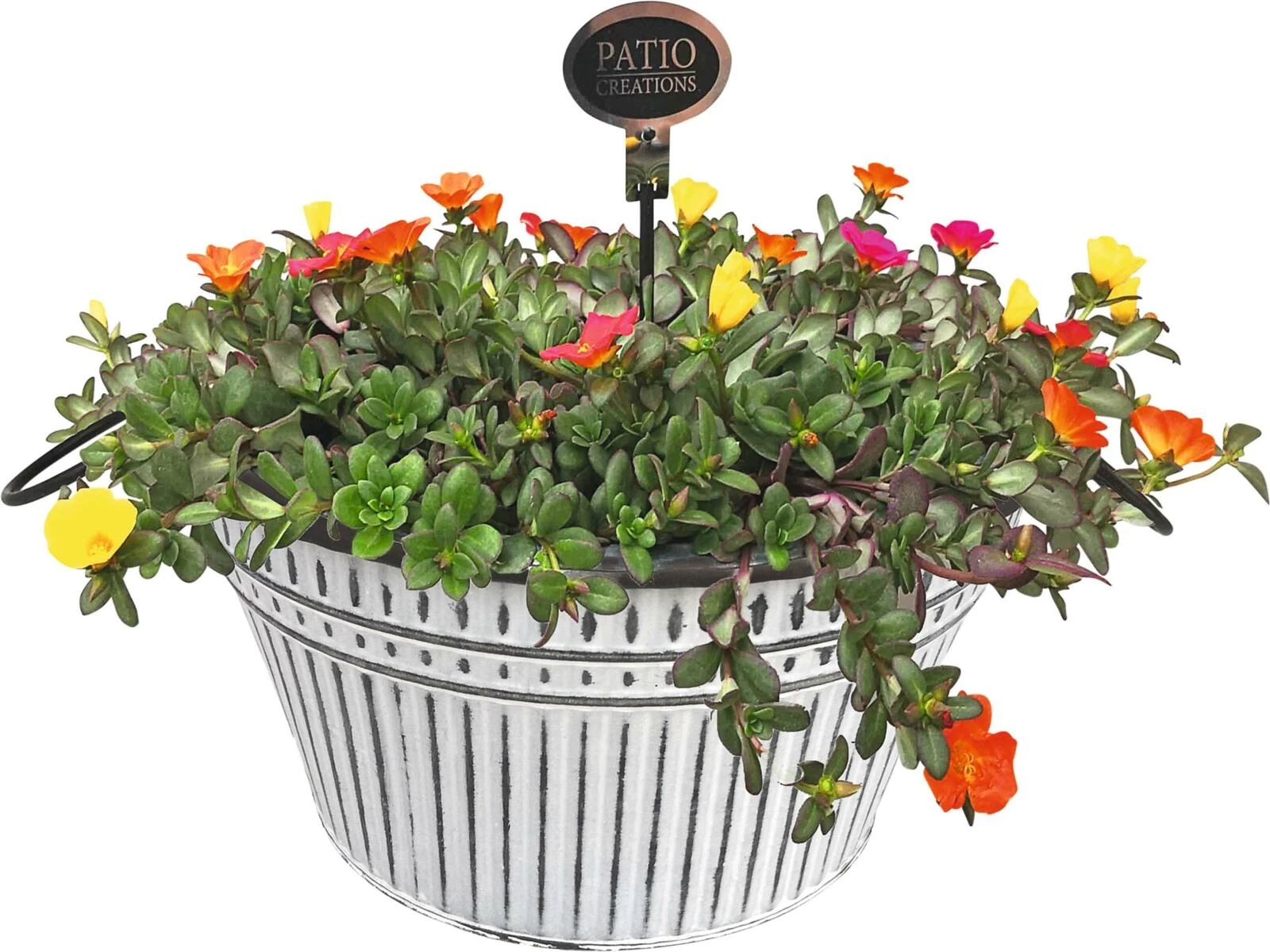 Metallschale bepflanzt P33 cm