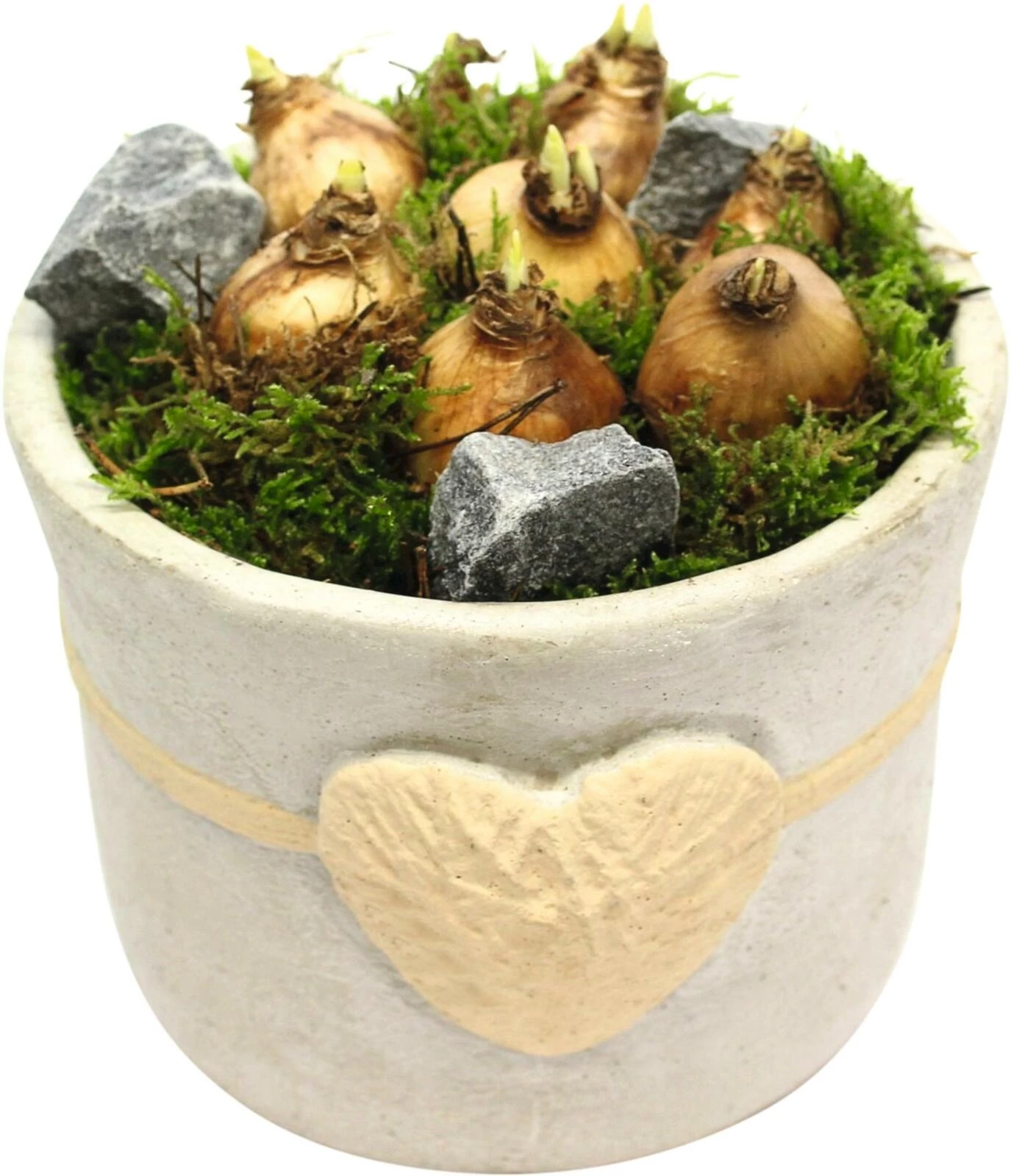 Bot en beton planté P16 cm