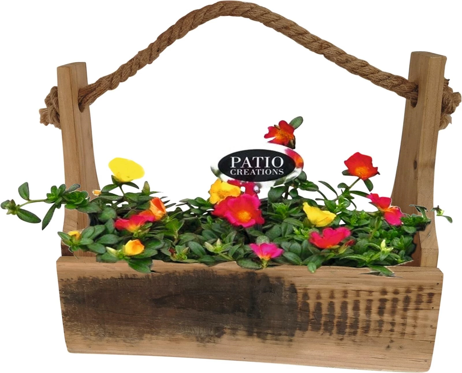 Caisse poign.planté P31x13 cm