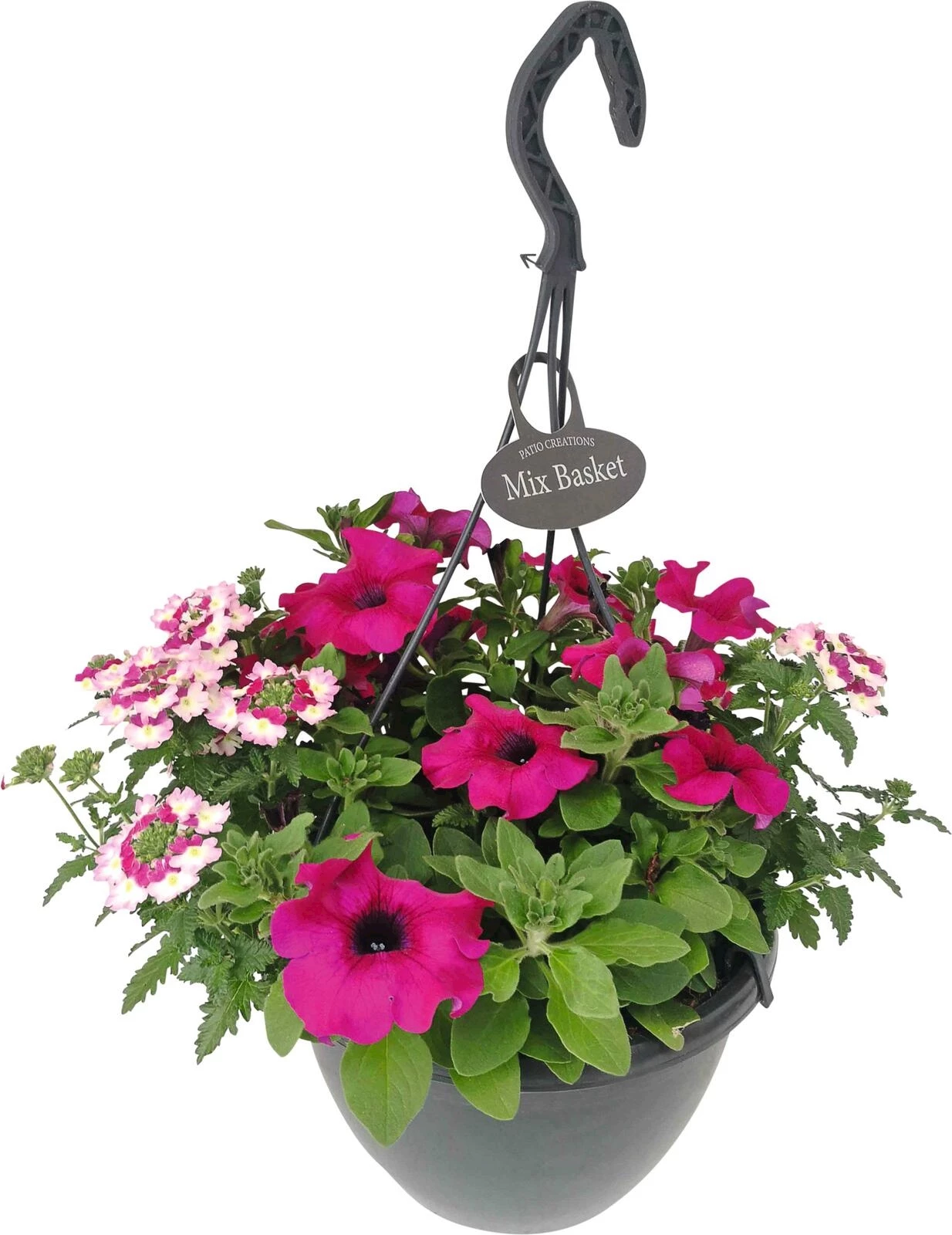 Ampel bepflanzt P27 cm