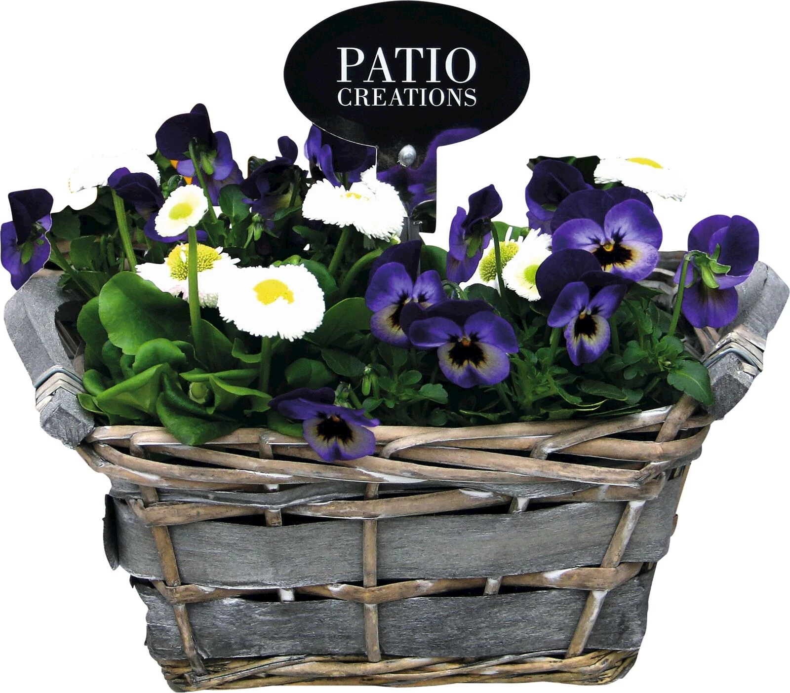 Korb bepfl. P13x21 cm