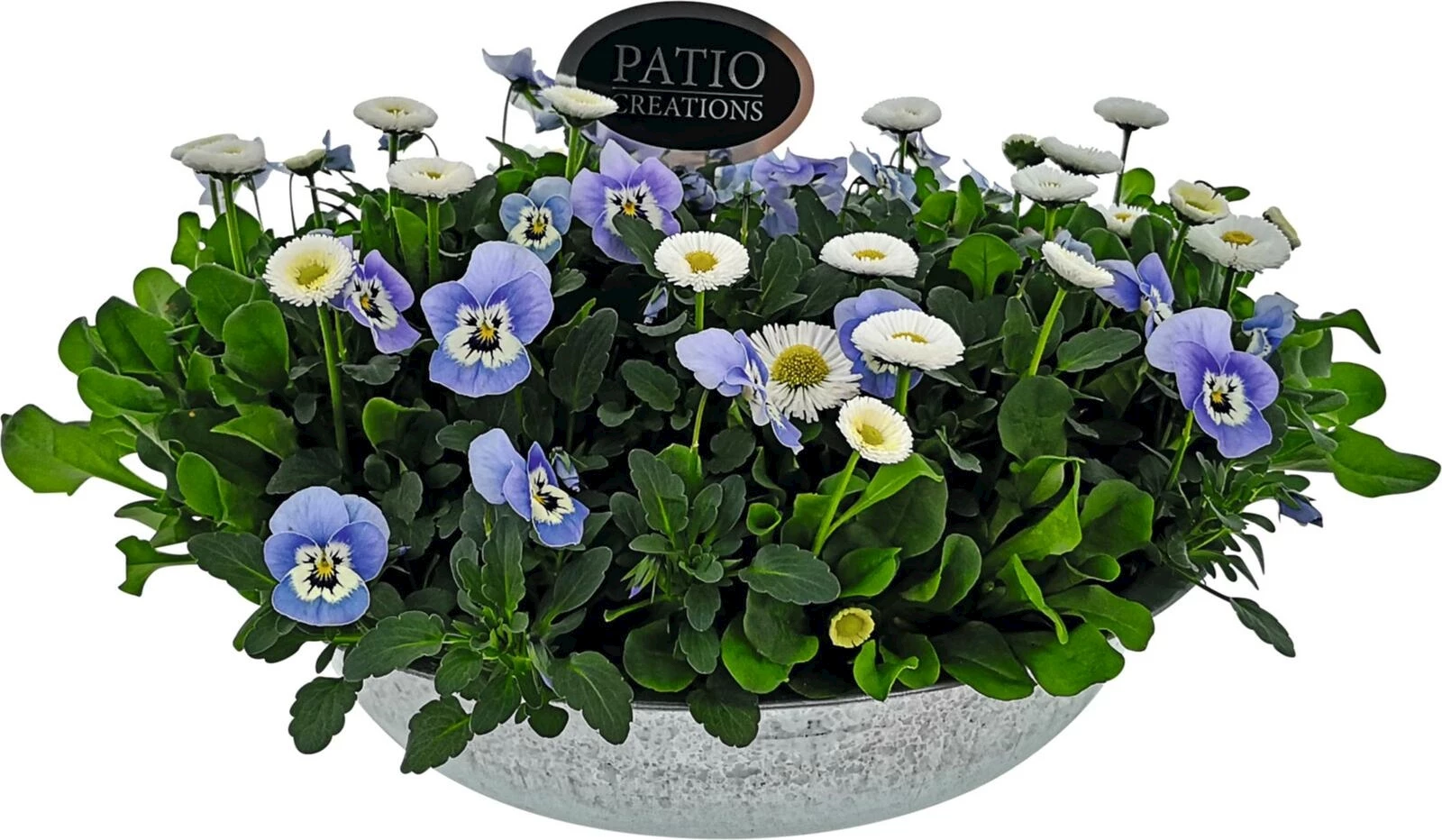 Zinkschale bepfl. P29 cm