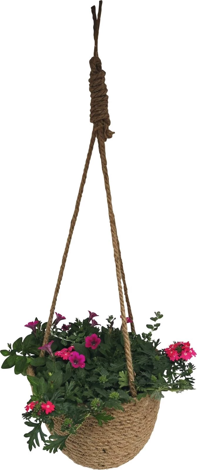 Hanging Basket bepfl. P23 cm