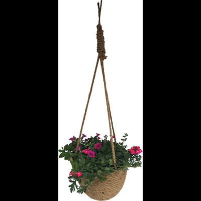 Hanging Basket planté P22 cm