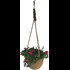 Hanging Basket bepfl. P23 cm