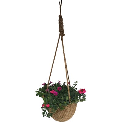 Hanging Basket planté P22 cm