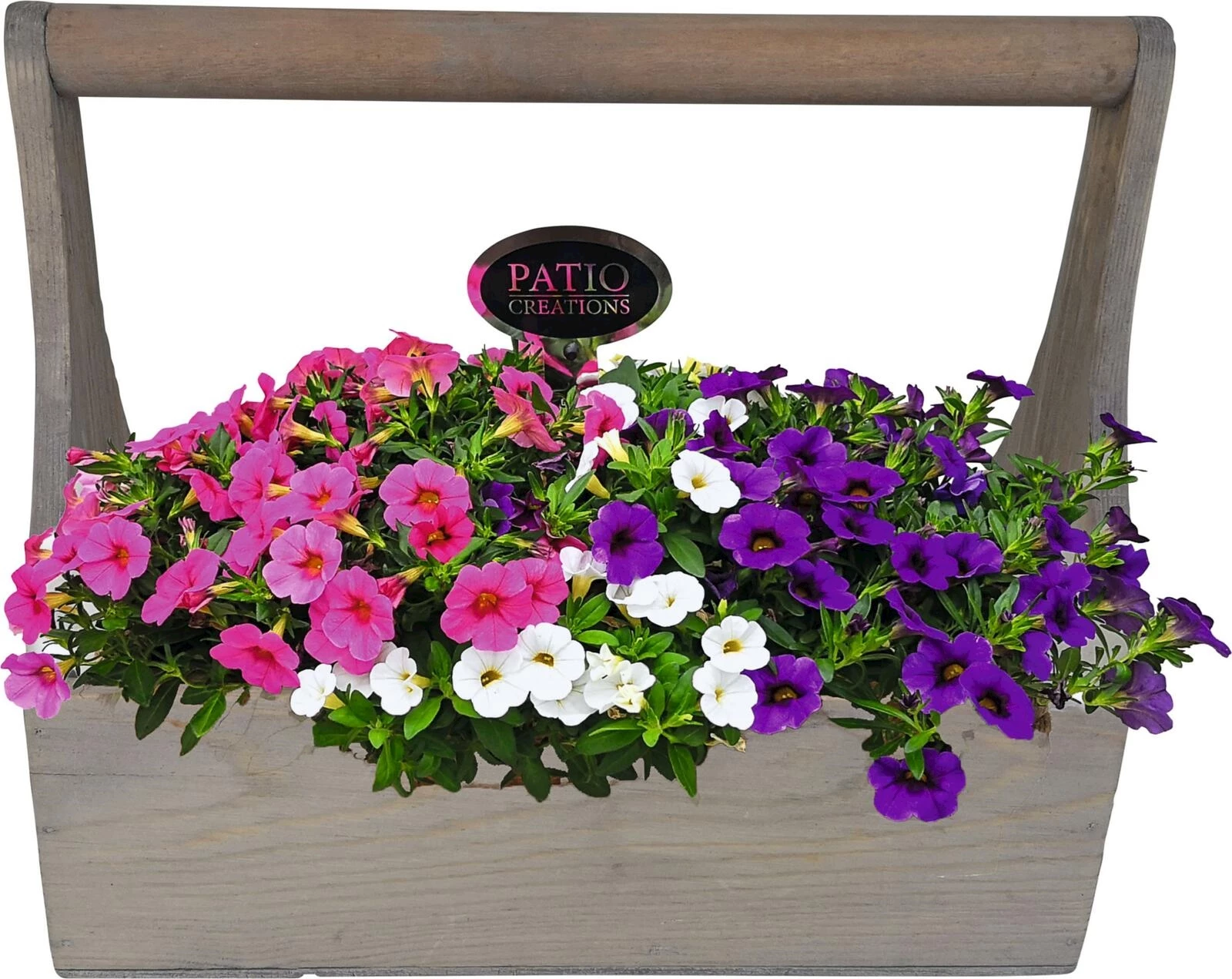 Henkelkiste bepfl. P27x13.5 cm