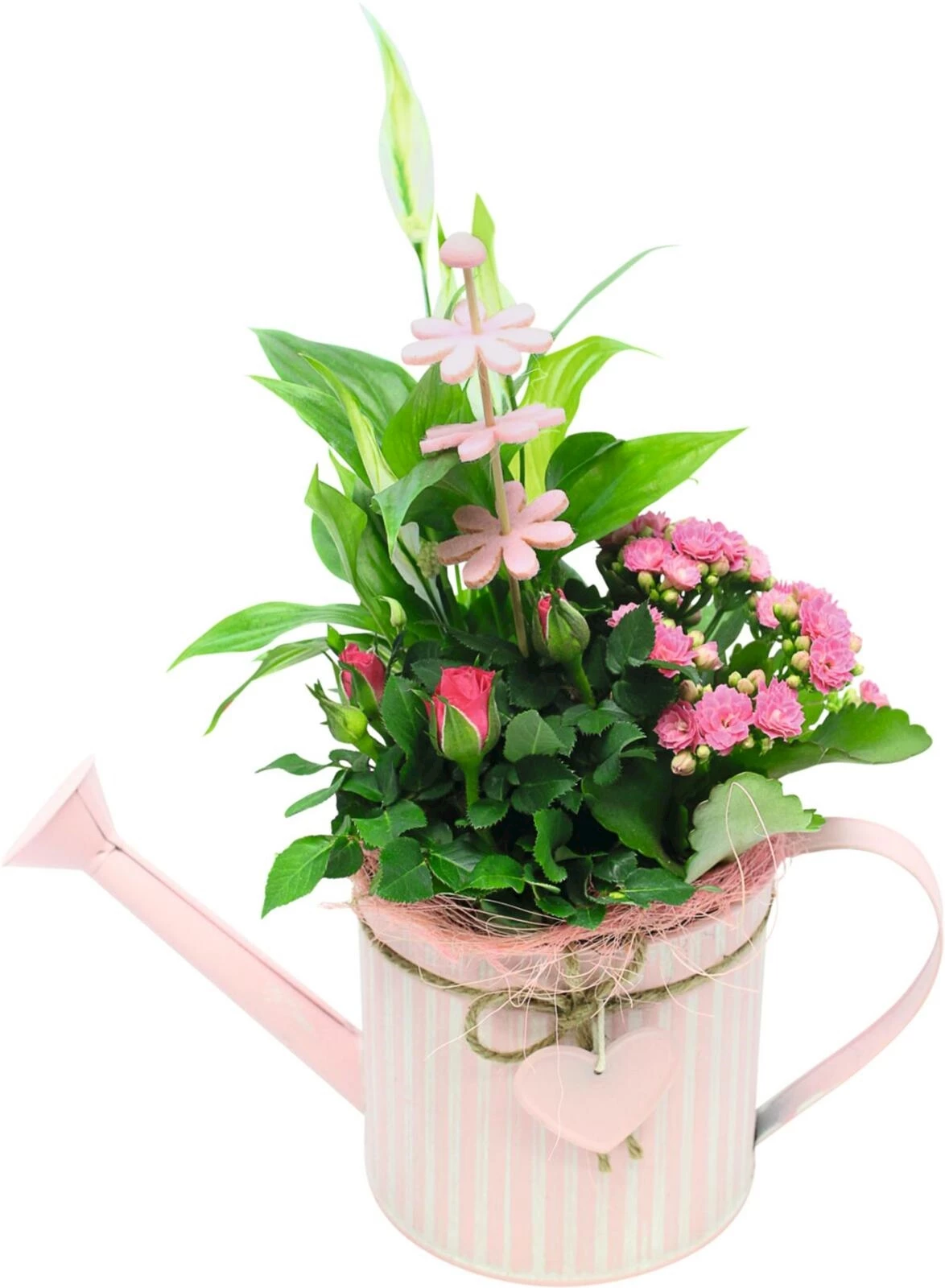 Giesskanne bepfl. P29x13 cm