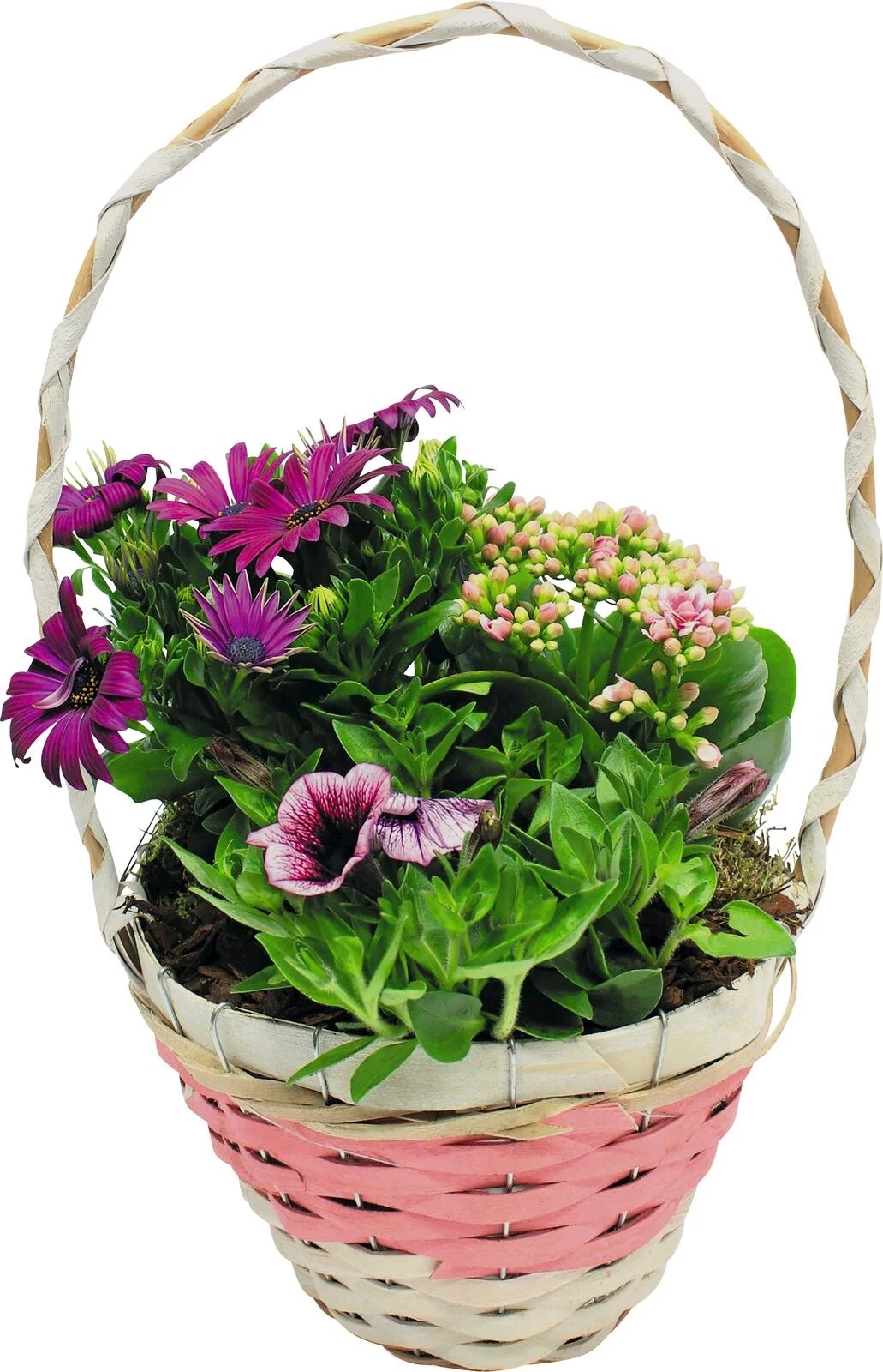 Henkelkorb bepfl.  P18 cm