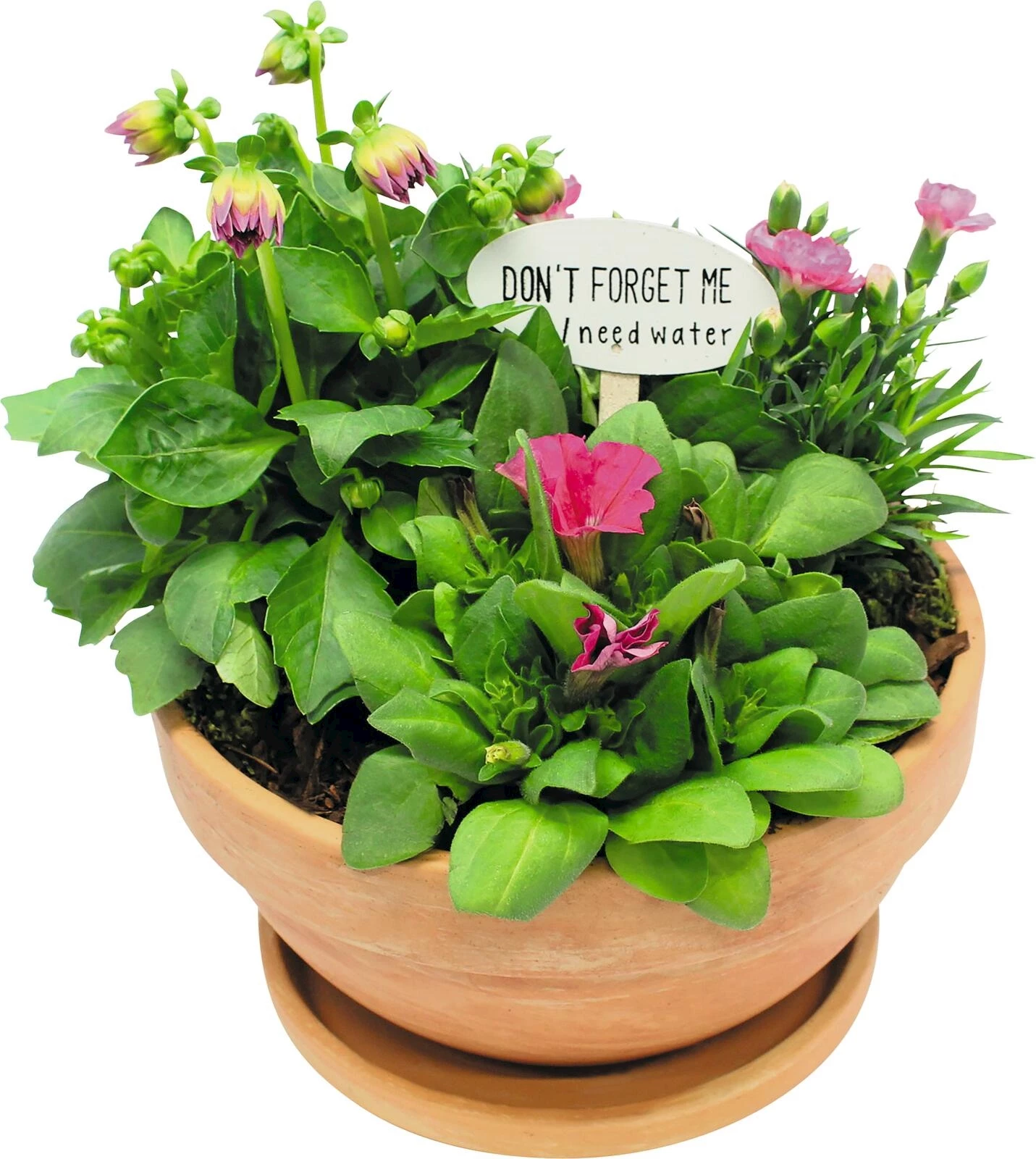 Terracottaschale bepfl. P23 cm