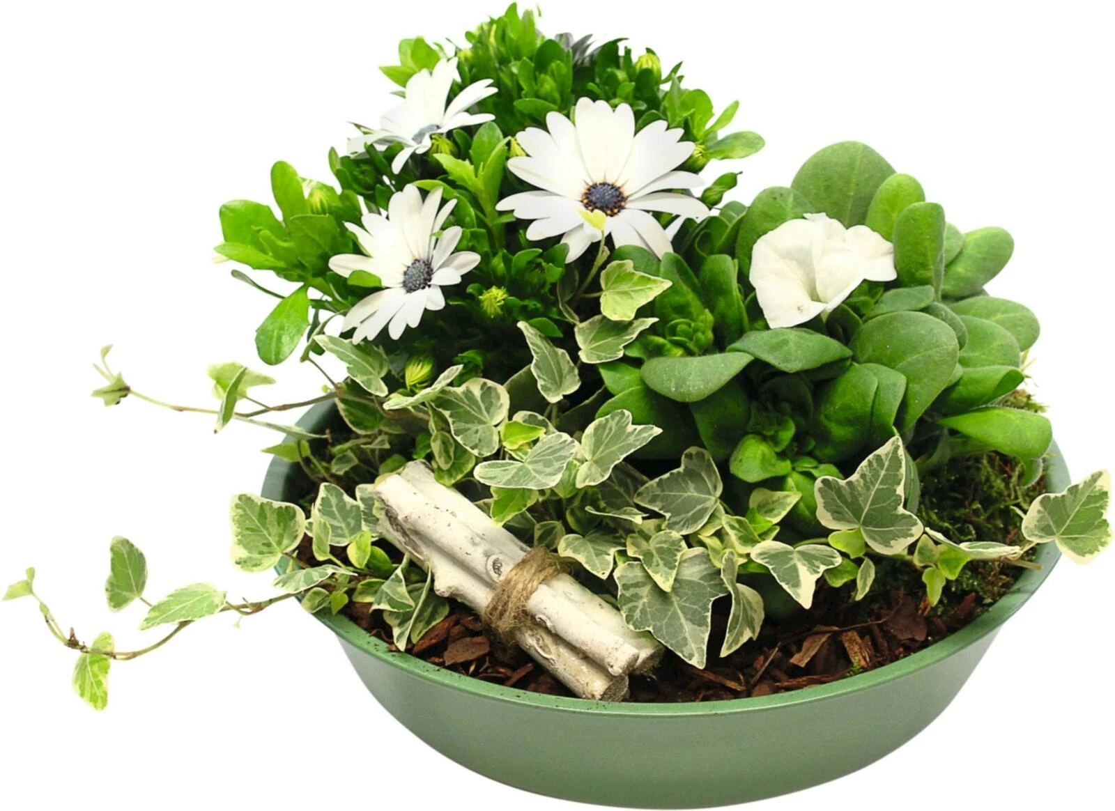 Zinkschale bepfl.P25 cm