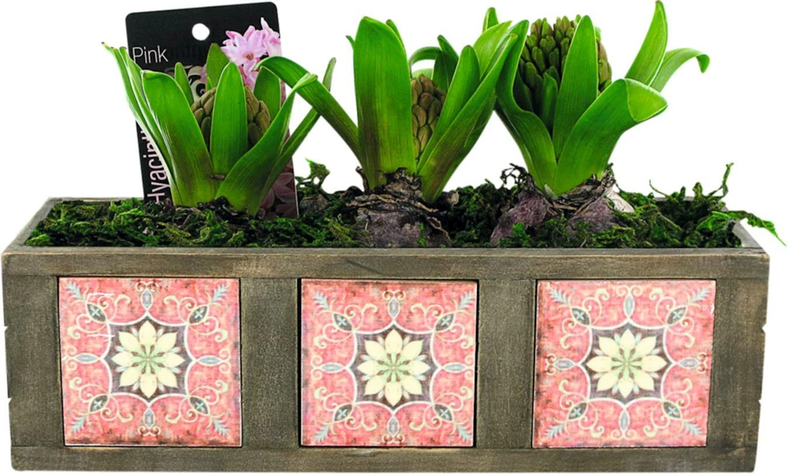 Bulbes de fleurs en pot bois P28 cm