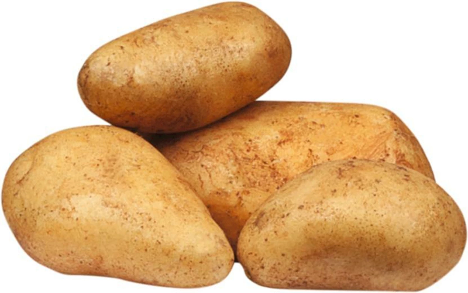 Pdt de semence Bio Erika 1 kg