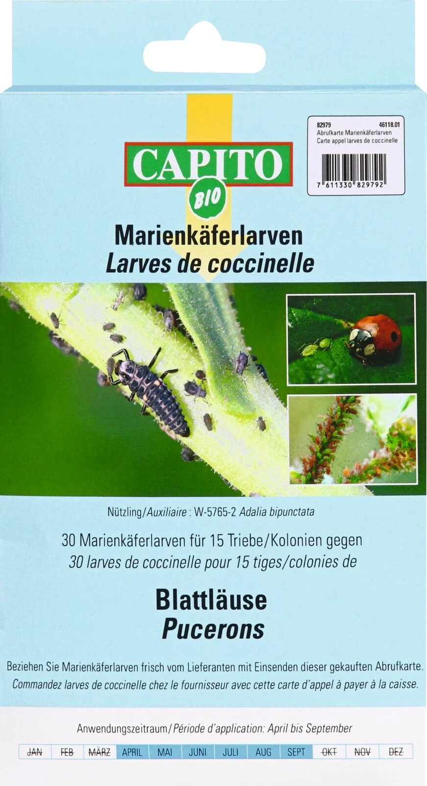 Carte d'appel larves de coccinelle