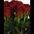 Bouquet de roses 18 pcs