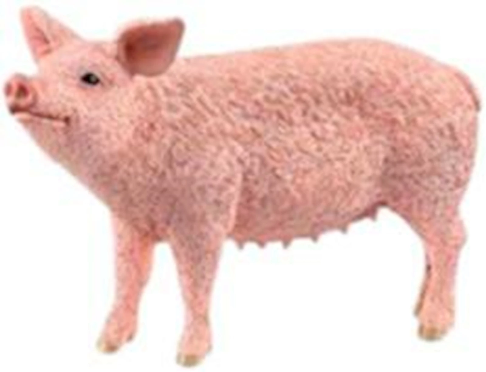 Schwein Schleich