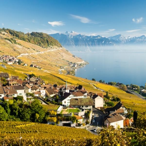 Epesses Lavaux sm 75 cl