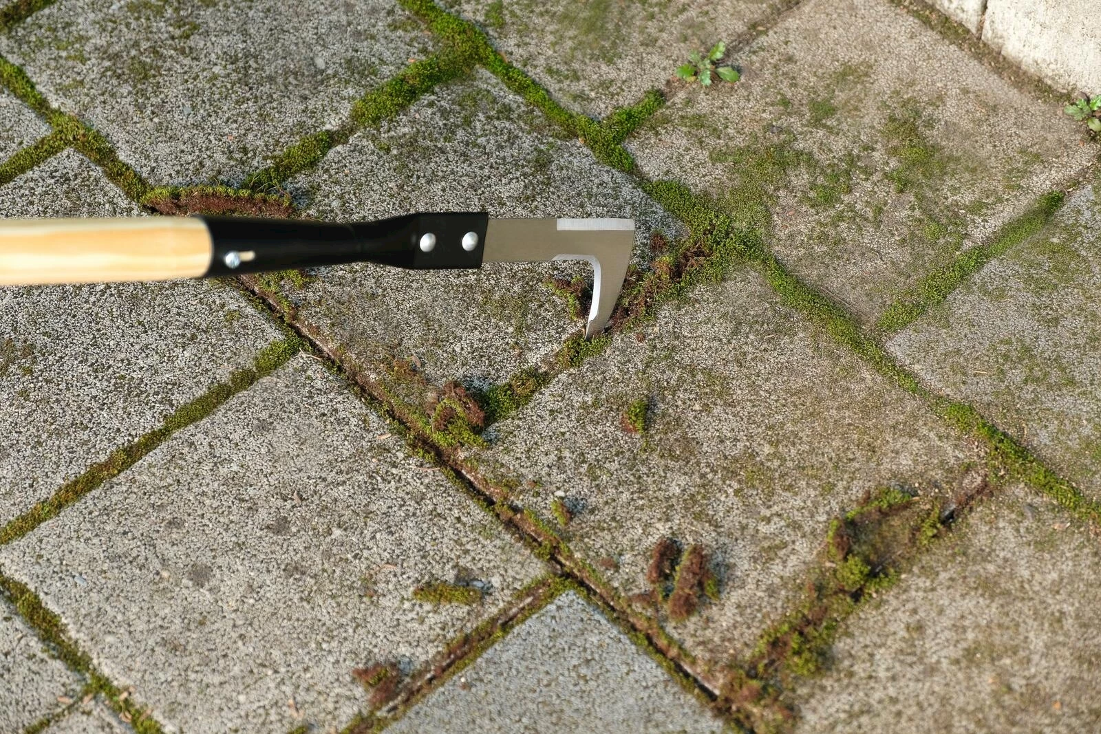 Fugenkratzer mit Stiel Okay kaufen Rasenmäher Roboter LANDI