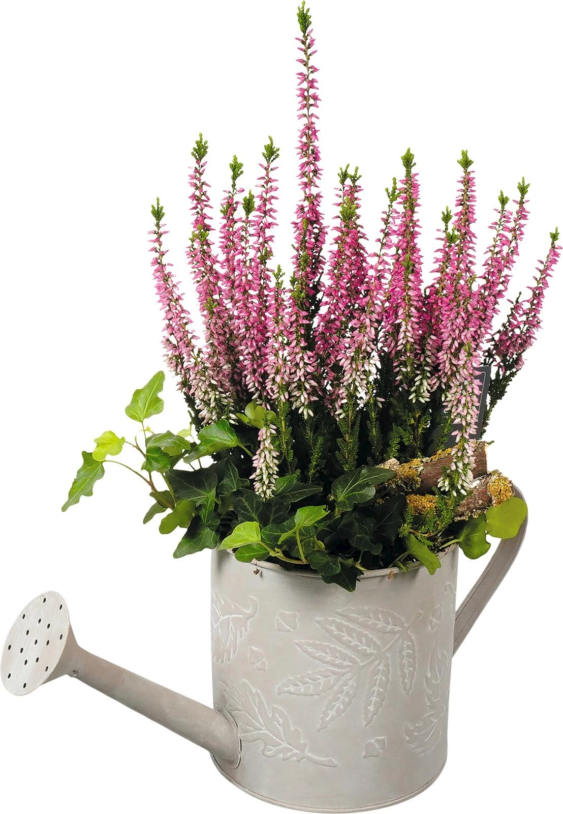 Giesskanne Metall bepfl.P13 cm