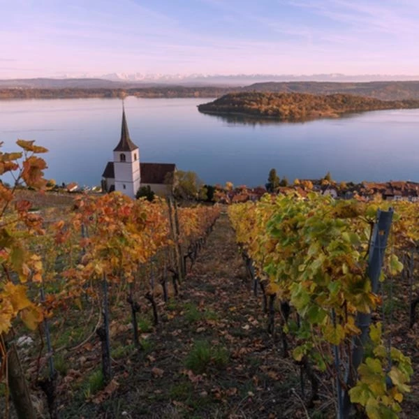 Chasselas Ligerz AOC 75 cl