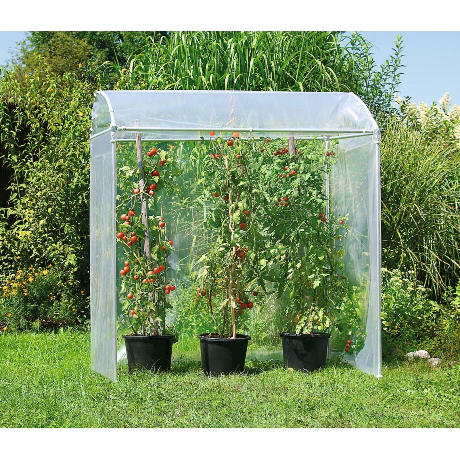Serre Tomates Alu Acheter Culture LANDI serre-tomates-alu-acheter-culture-landi
