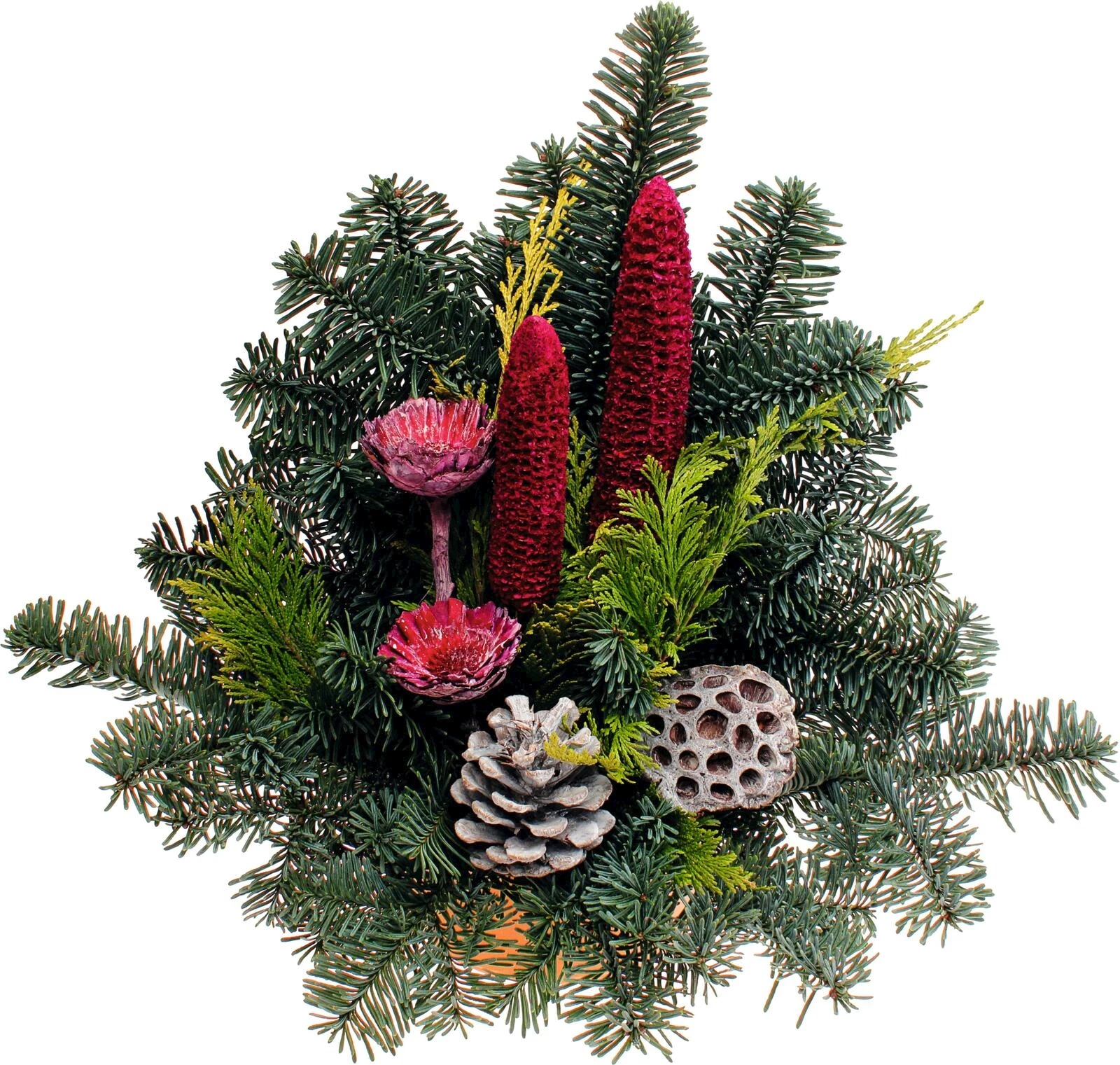 Grabschale Nob. Mais brombeer