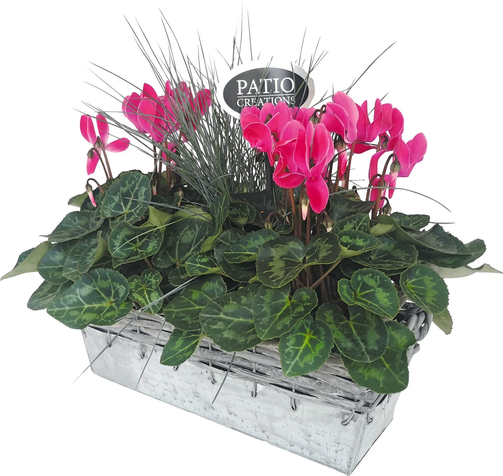 Zinkgefäss bepfl. Rattangriff P31x13 cm