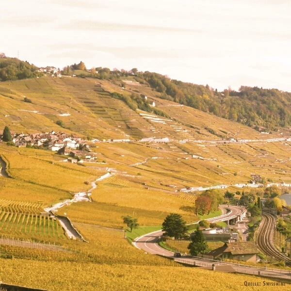 Fleurance Chasselas 50 cl