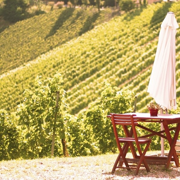 Grüner Veltliner 75 cl