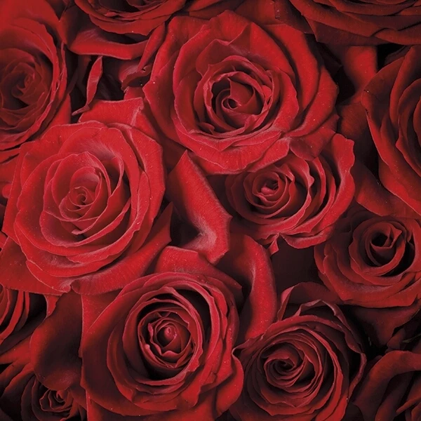 Rosière Chardonnay 75 cl