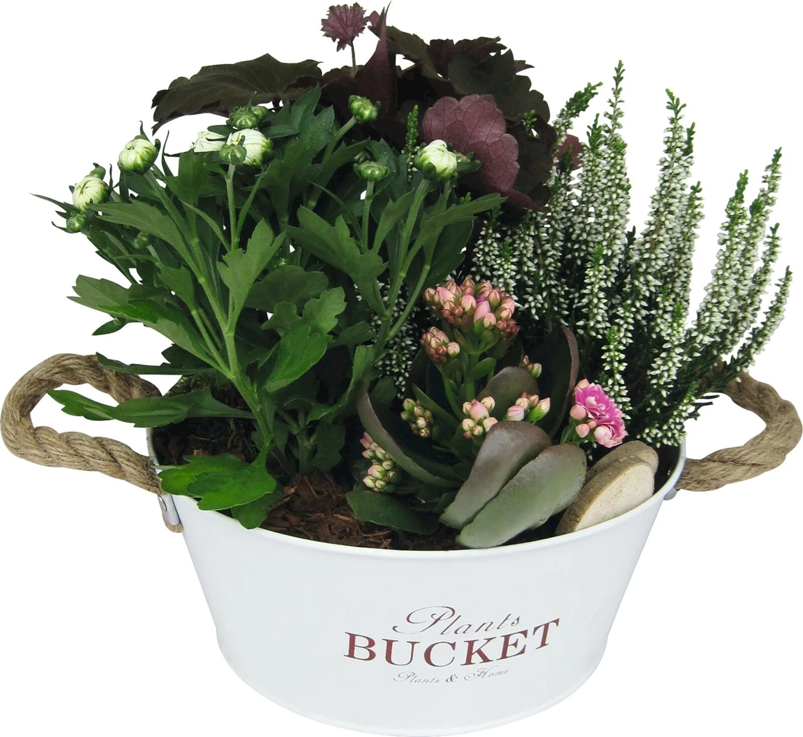 Holzkiste bepfl. P21x21 cm