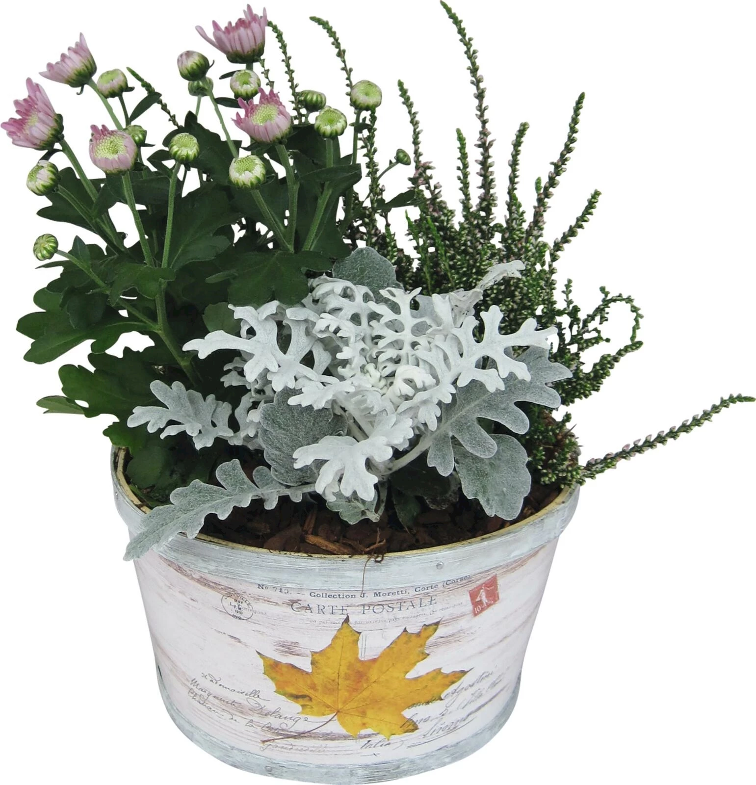 Kunststoffschale bepfl. P19 cm