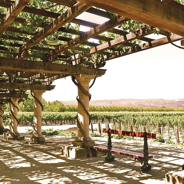 Stone Cruz Chardonnay 75 cl