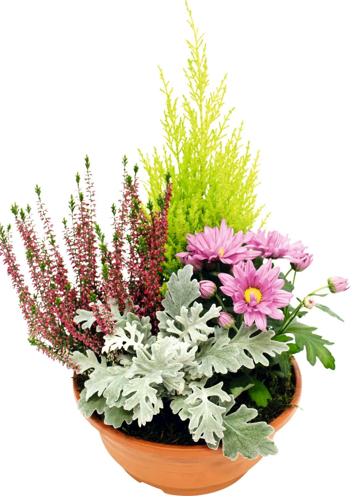 Schale Allerheiligen bepfl.P23 cm