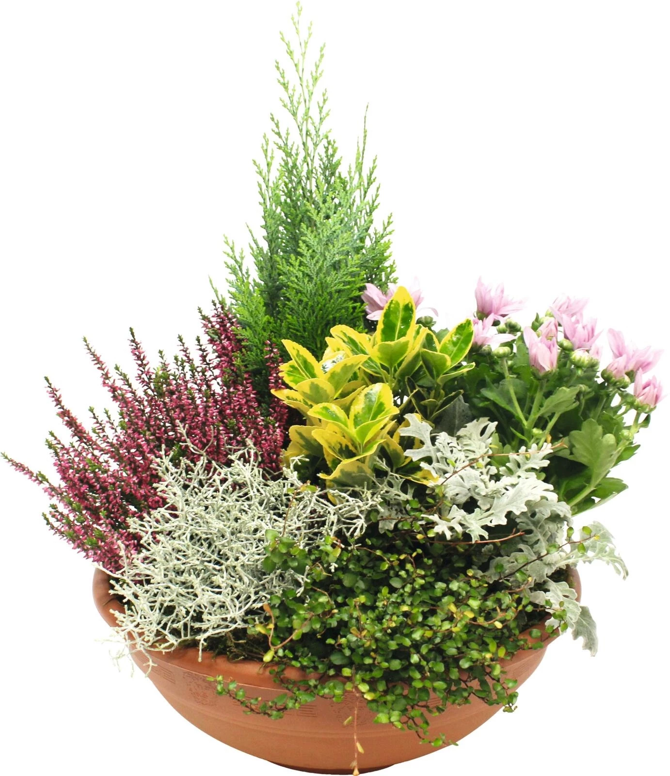 Schale Allerheiligen bepfl. P35 cm