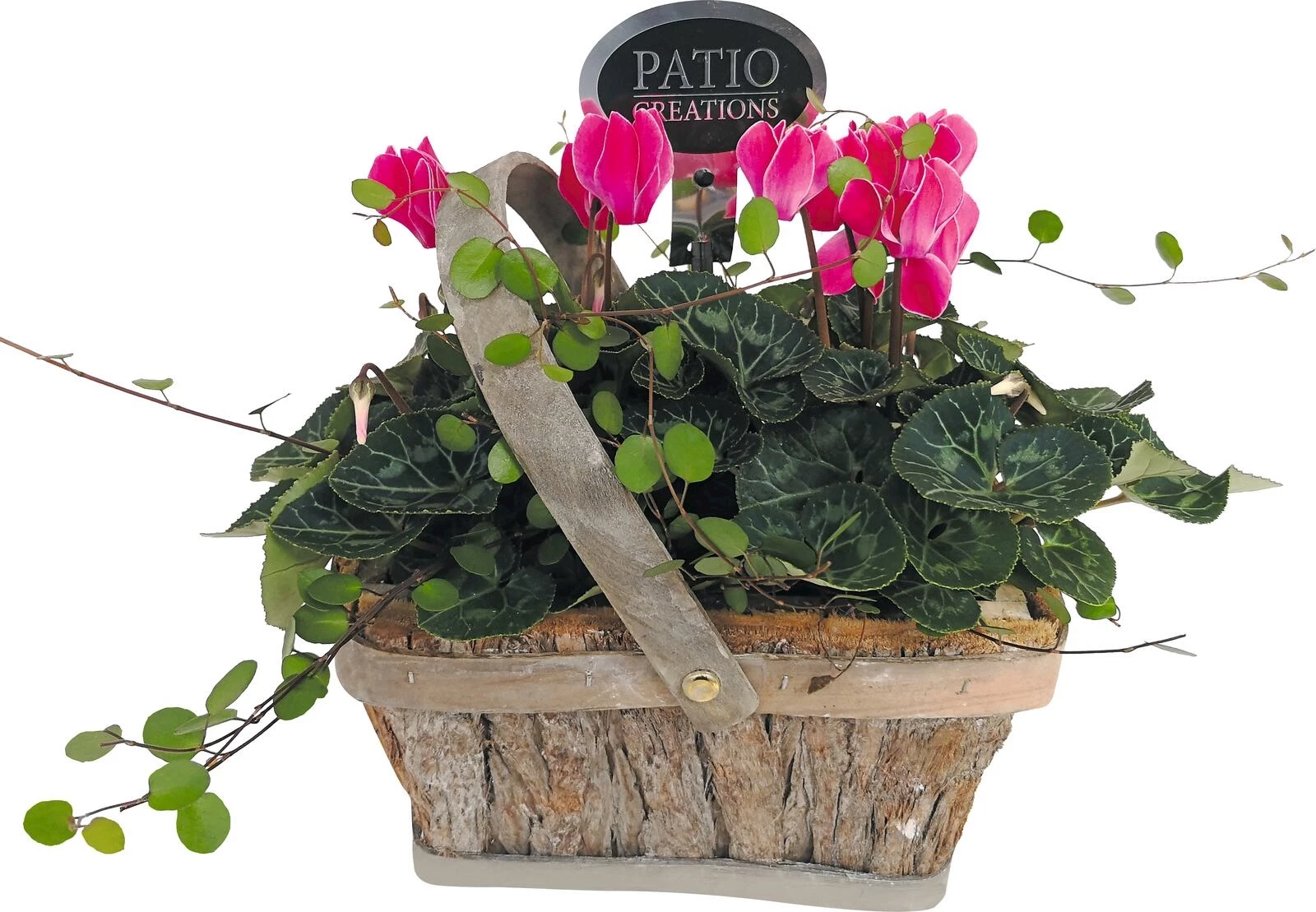 Blütenkörbchen P21 × 13 cm