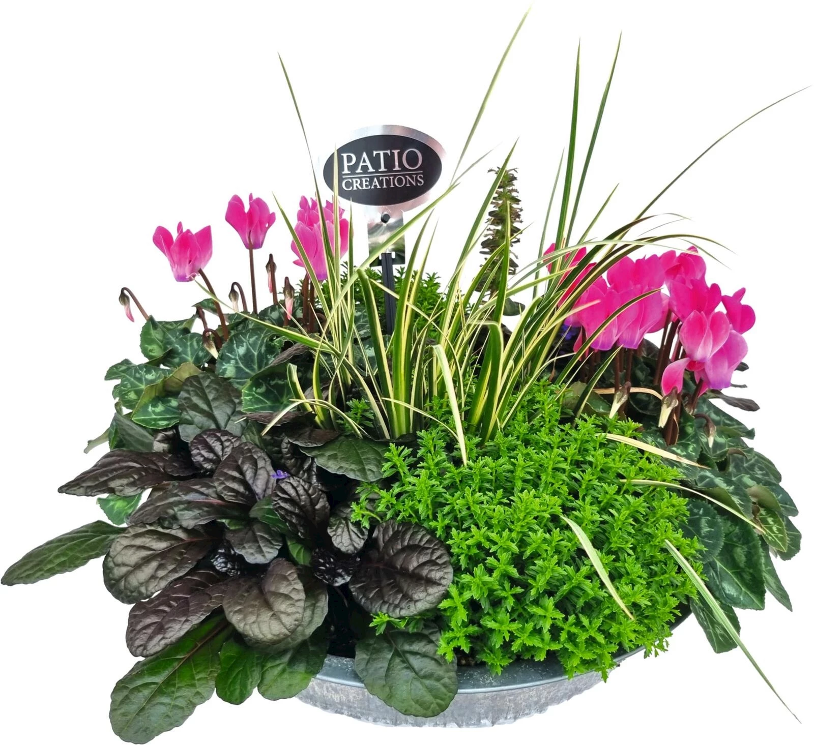 Bac zinc planté P31 cm