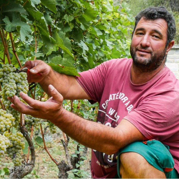Dôle blanche VS 75 cl