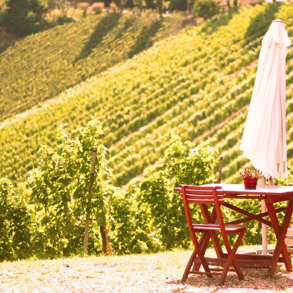 Pinot Noir Duvallon 75 cl