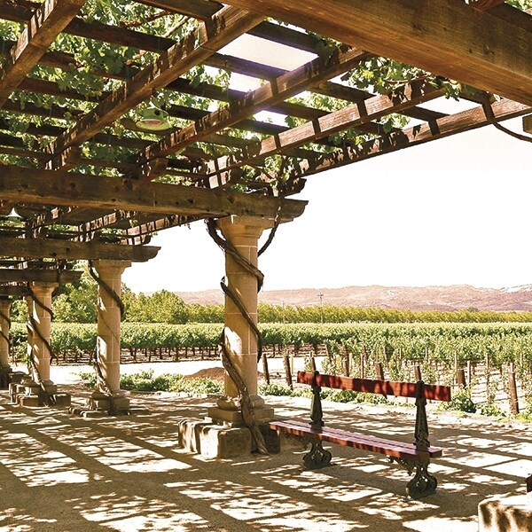 Stone Cruz Zinfandel 75cl