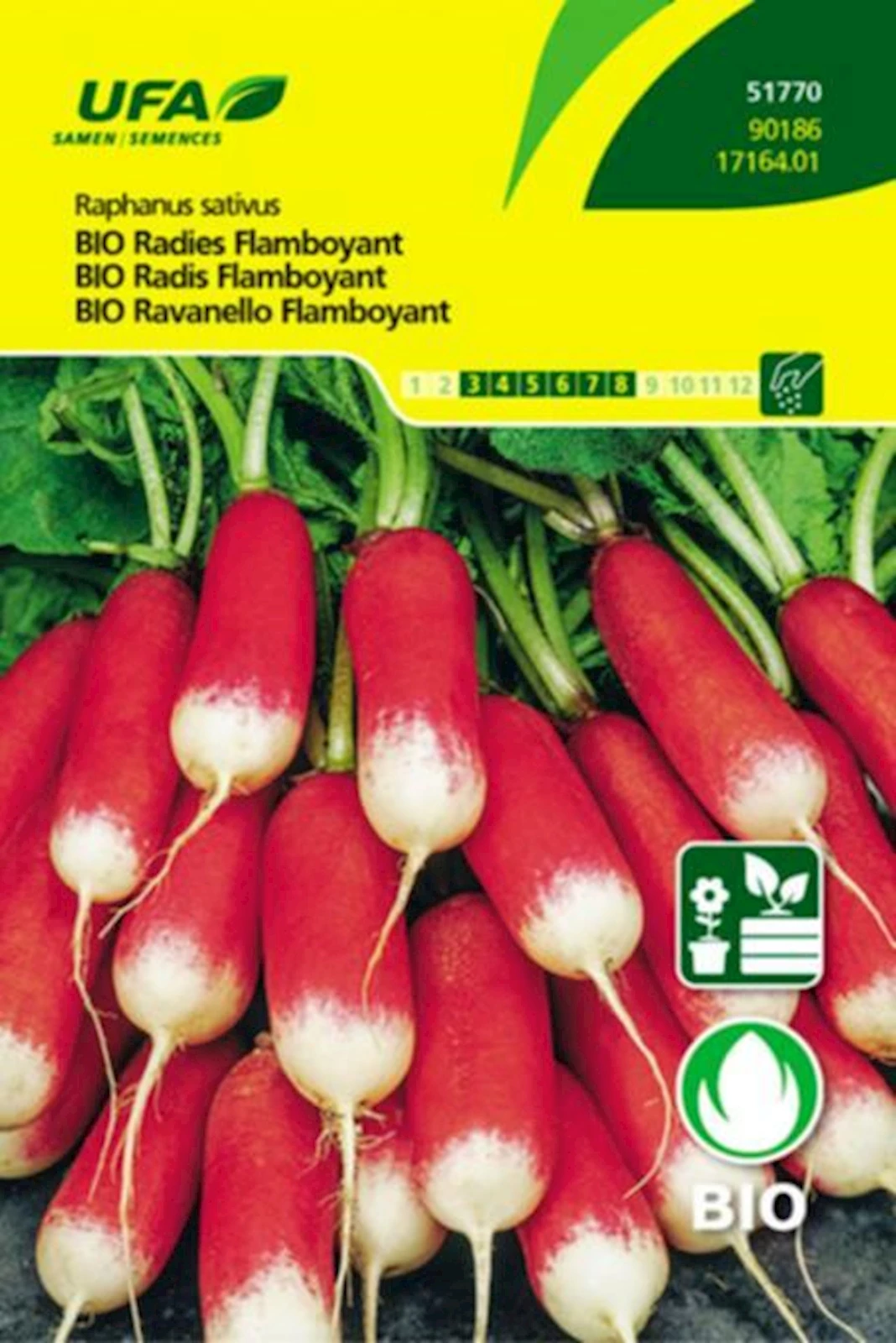 Radies Flamboyant BIO-K  UFA