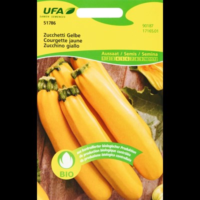 Courgette jaune BIO-B UFA