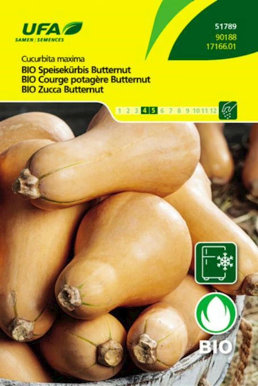 Speisekürb. Butternut BIO-K UFA
