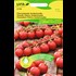 Cherry tomates Raisin sucré  BIO-B UFA
