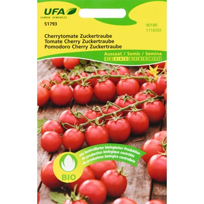Cherry tomates Raisin sucré  BIO-B UFA