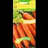Ruban de semis carotte BIO-B UFA
